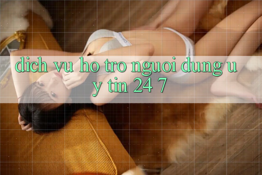 Dịch Vụ Hỗ Trợ Người dùng Uy tín 24/7