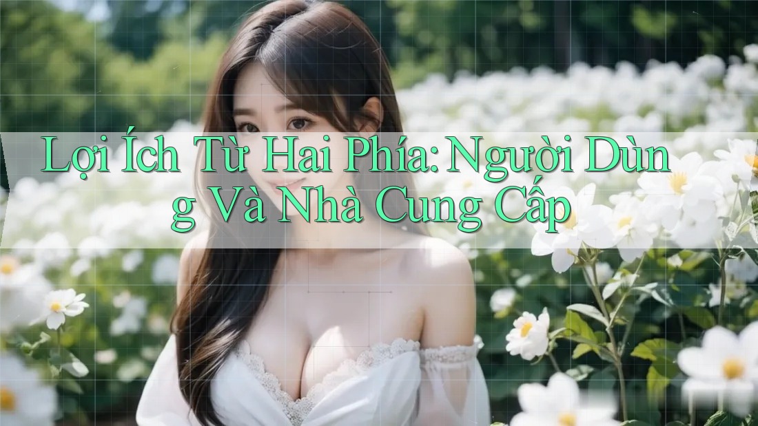 Lợi Ích Từ Hai Phía: Người Dùng Và Nhà Cung Cấp Lợi Ích Từ Hai Phía: Người Dùng Và Nhà Cung Cấp